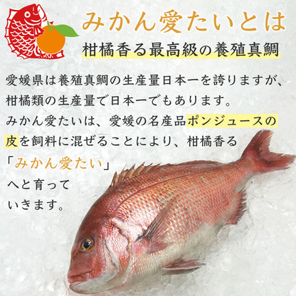 52【愛媛のブランド鯛 みかん愛たい】柑橘香る絶品タイしゃぶスライス 140g×2パック（計280g）｜刺身でもOK・冷凍便