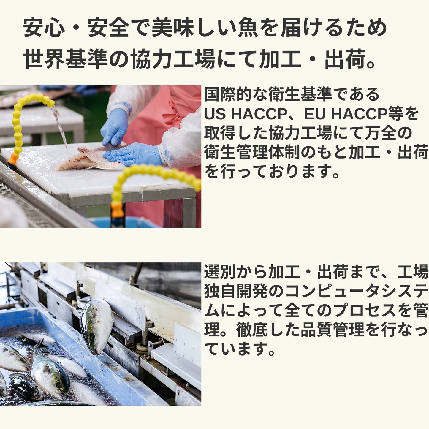 【刺身用・冷蔵】四国・九州産「美鮮の鰤（ブリ）」ハーフロイン（約0.64〜1.12kg／4パック）｜鮮度長持ち・臭みなし【No.04】